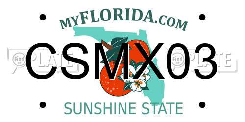 CSMX03 Florida License Plate