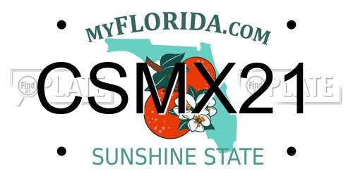 CSMX21 Florida License Plate