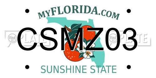 CSMZ03 Florida License Plate