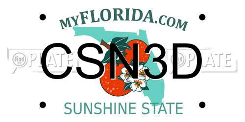CSN3D Florida License Plate