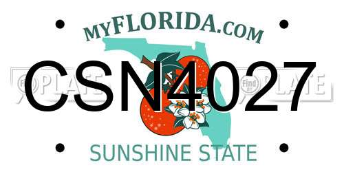 CSN4027 Florida License Plate