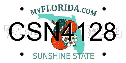 CSN4128 Florida License Plate