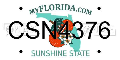 CSN4376 Florida License Plate