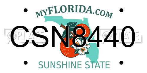 CSN8440 Florida License Plate