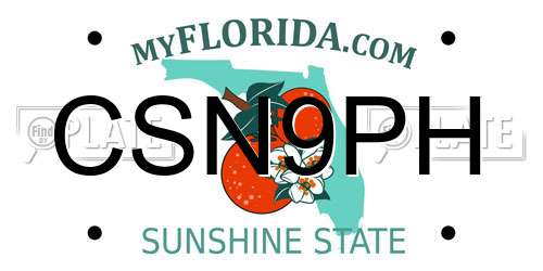 CSN9PH Florida License Plate