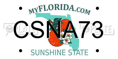 CSNA73 Florida License Plate