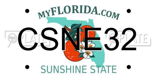 CSNE32 Florida License Plate