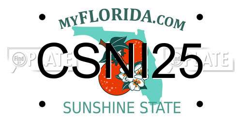 CSNI25 Florida License Plate