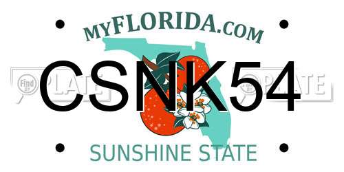 CSNK54 Florida License Plate