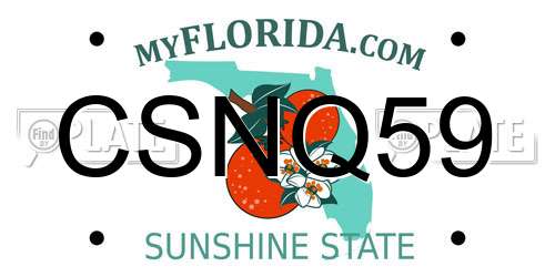 CSNQ59 Florida License Plate