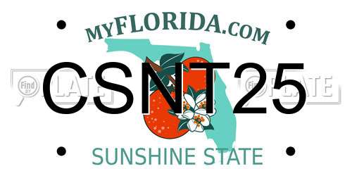 CSNT25 Florida License Plate