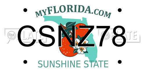 CSNZ78 Florida License Plate