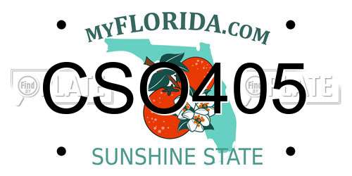 CSO405 Florida License Plate