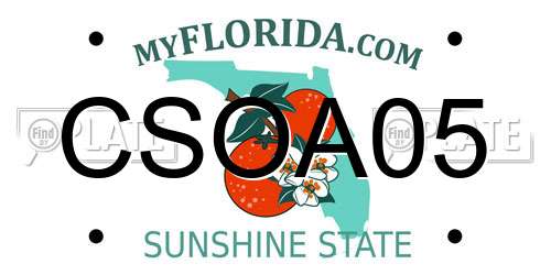 CSOA05 Florida License Plate