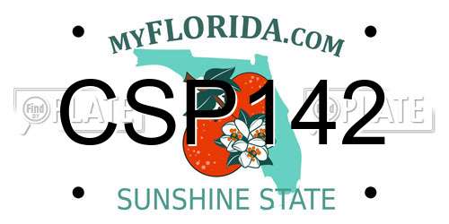 CSP142 Florida License Plate