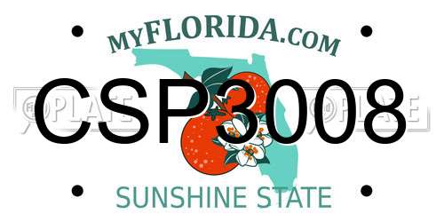 CSP3008 Florida License Plate