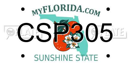 CSP305 Florida License Plate