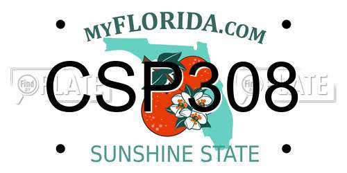 CSP308 Florida License Plate