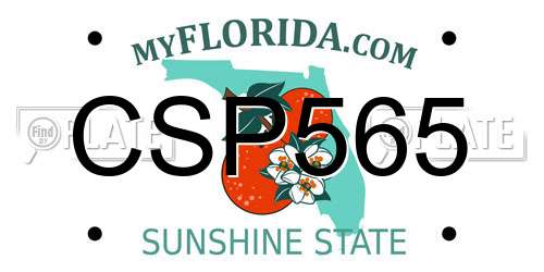 CSP565 Florida License Plate