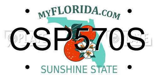 CSP570S Florida License Plate