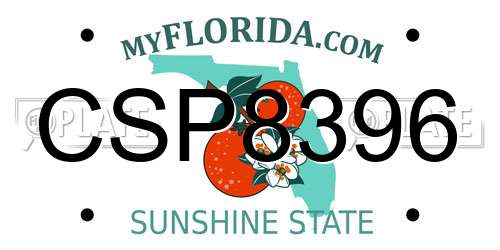 CSP8396 Florida License Plate
