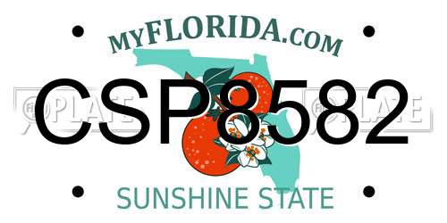 CSP8582 Florida License Plate