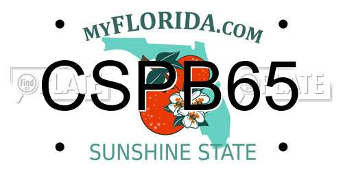 CSPB65 Florida License Plate