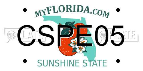 CSPE05 Florida License Plate
