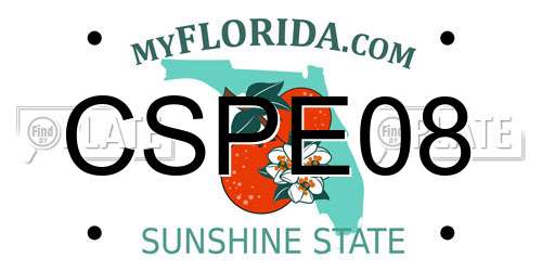 CSPE08 Florida License Plate