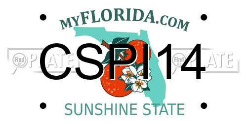CSPI14 Florida License Plate