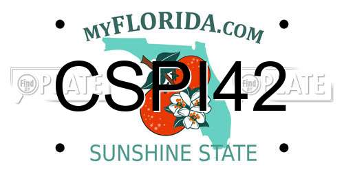 CSPI42 Florida License Plate