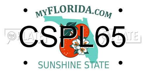 CSPL65 Florida License Plate