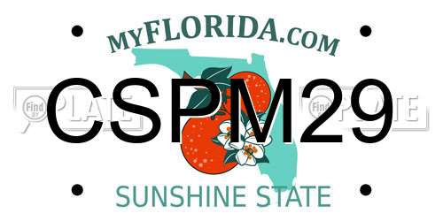 CSPM29 Florida License Plate