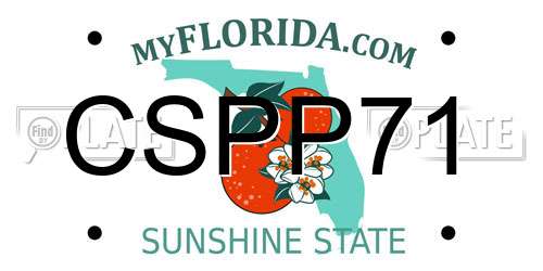 CSPP71 Florida License Plate