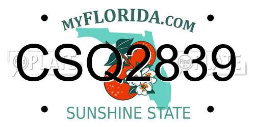 CSQ2839 Florida License Plate