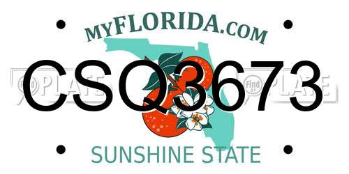 CSQ3673 Florida License Plate