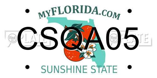 CSQA05 Florida License Plate