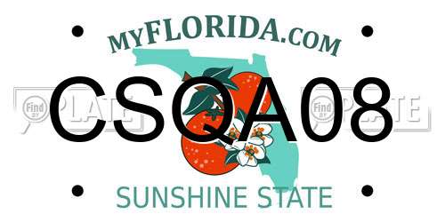 CSQA08 Florida License Plate