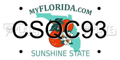 CSQC93 Florida License Plate