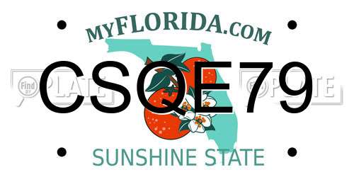 CSQE79 Florida License Plate