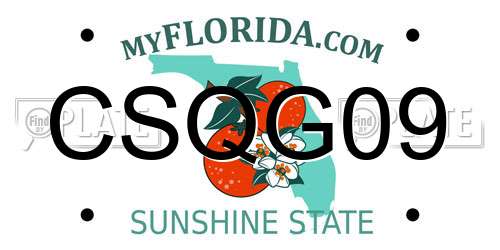 CSQG09 Florida License Plate