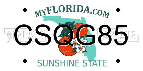 CSQG85 Florida License Plate