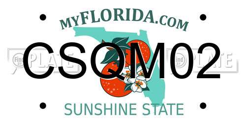 CSQM02 Florida License Plate