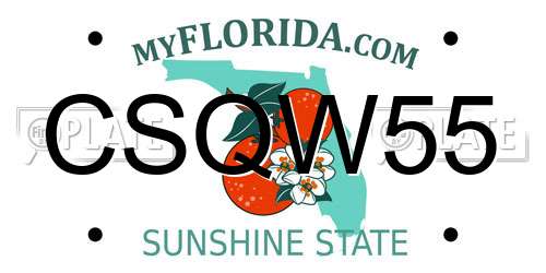 CSQW55 Florida License Plate