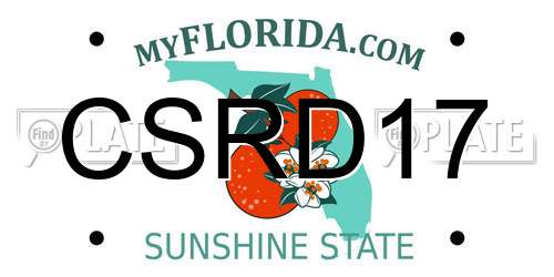 CSRD17 Florida License Plate