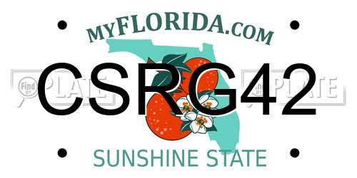 CSRG42 Florida License Plate
