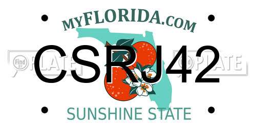 CSRJ42 Florida License Plate