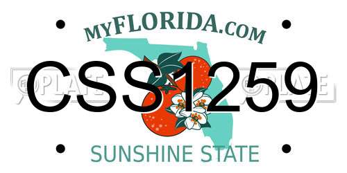 CSS1259 Florida License Plate