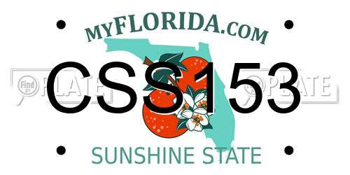 CSS153 Florida License Plate
