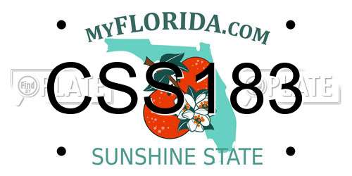 CSS183 Florida License Plate